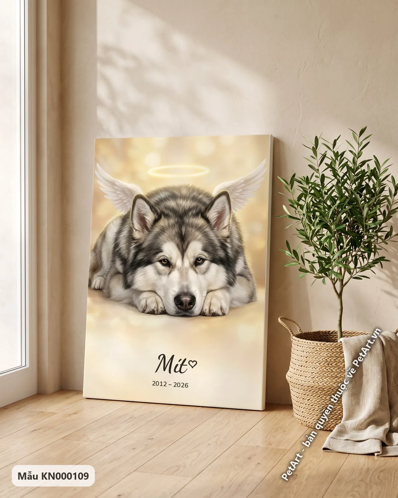 Ảnh thực tế: Chú chó Alaska Malamute nằm nghỉ, có đôi cánh trắng và vầng hào quang, trên nền vàng mờ ảo.
