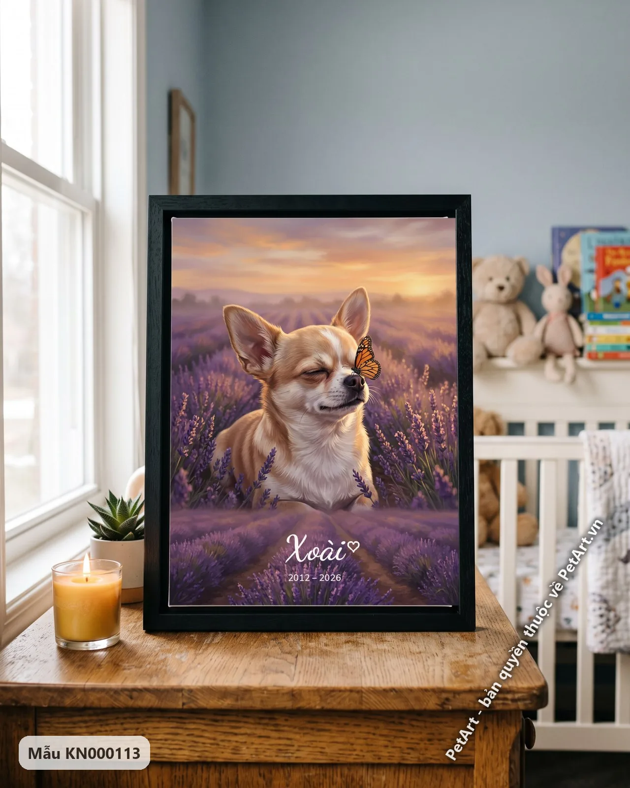 Ảnh thực tế: Chú chó Chihuahua màu kem nằm thư giãn giữa cánh đồng oải hương tím, bướm cam đậu mũi, dưới ánh hoàng hôn dịu dàng.