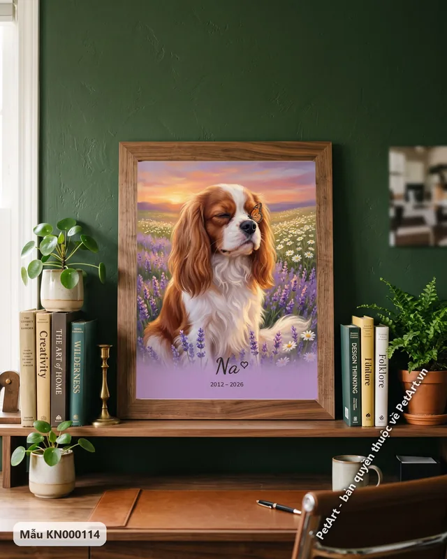 Cavalier King Charles giữa vườn hoa cúc oải hương · góc khác