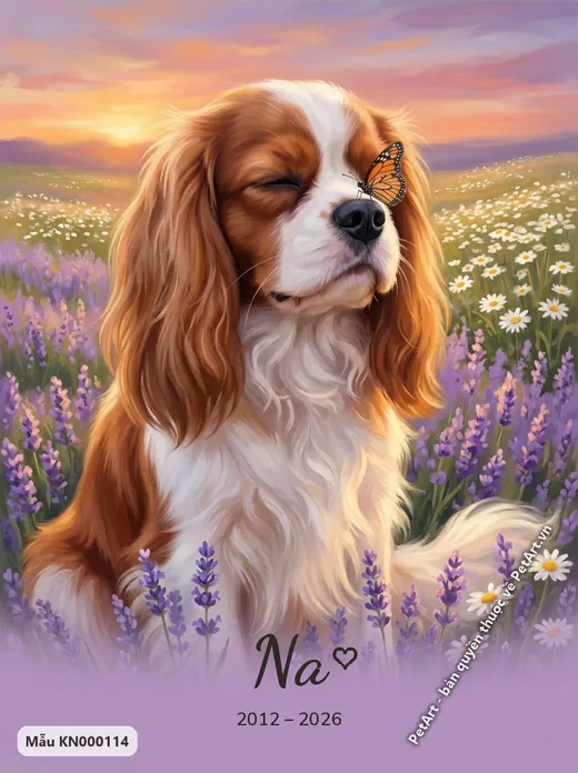 Cavalier King Charles giữa vườn hoa cúc oải hương · ảnh tranh
