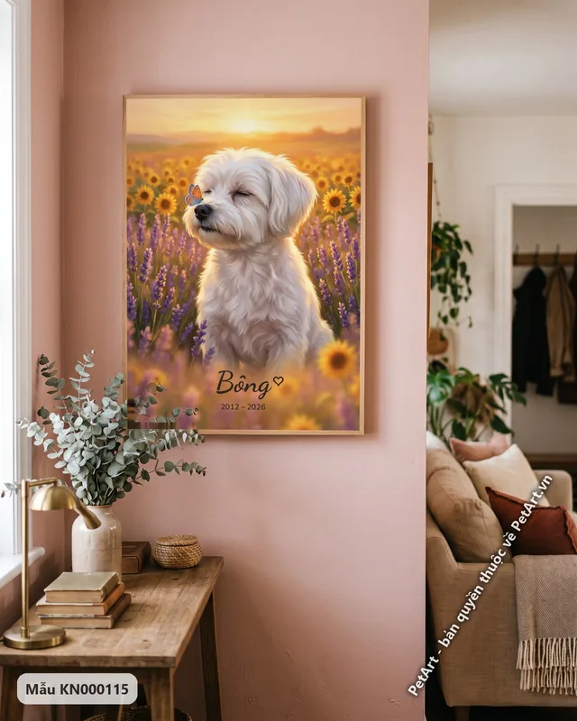 Maltese trắng giữa vườn oải hương hướng dương · ảnh thực tế