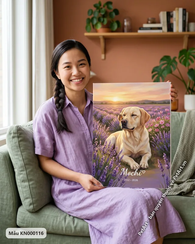Labrador vàng thư thái trong vườn oải hương · ảnh thực tế