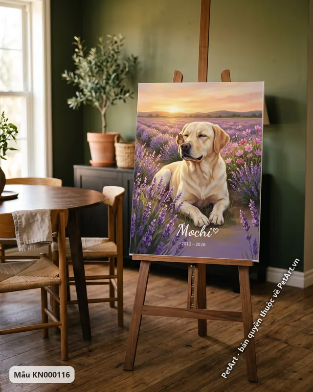 Labrador vàng thư thái trong vườn oải hương · góc khác