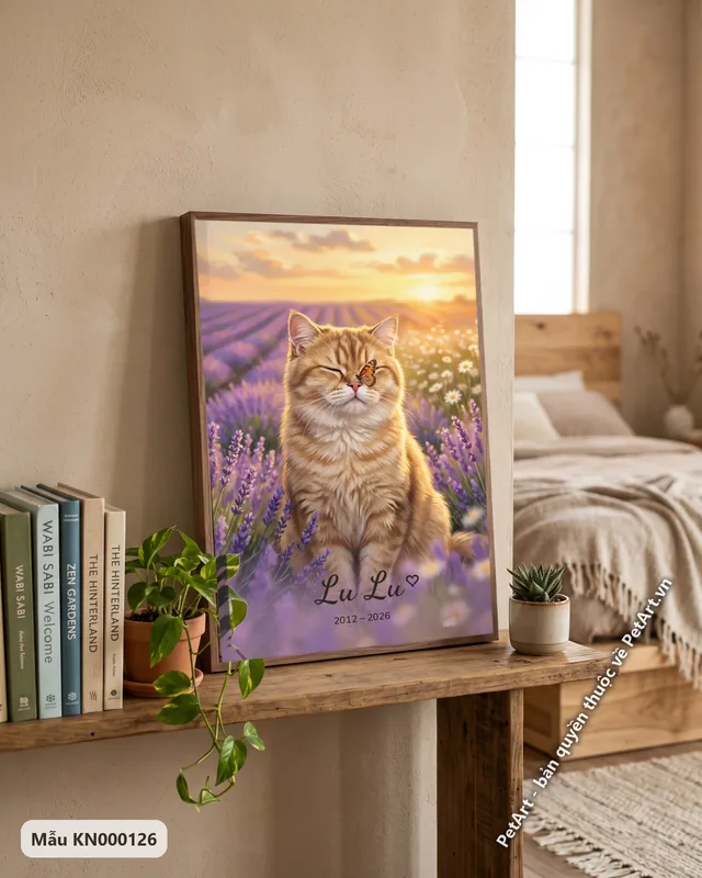 Mèo Anh lông dài giữa cánh đồng oải hương · góc khác
