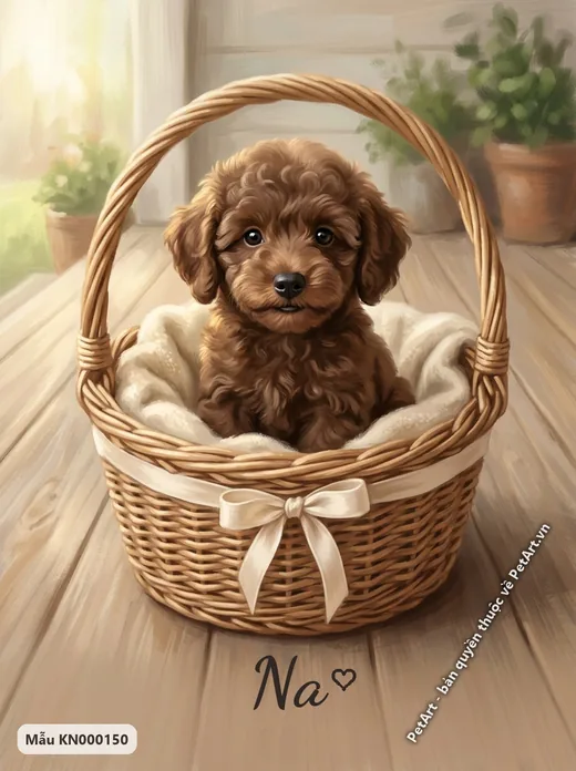 Chó Poodle nâu trong giỏ, phong cách ngày đầu gặp nhau · ảnh tranh