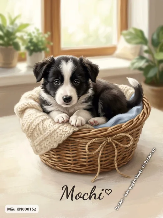Chó Border Collie trong giỏ, phong cách ngày đầu gặp nhau · ảnh tranh