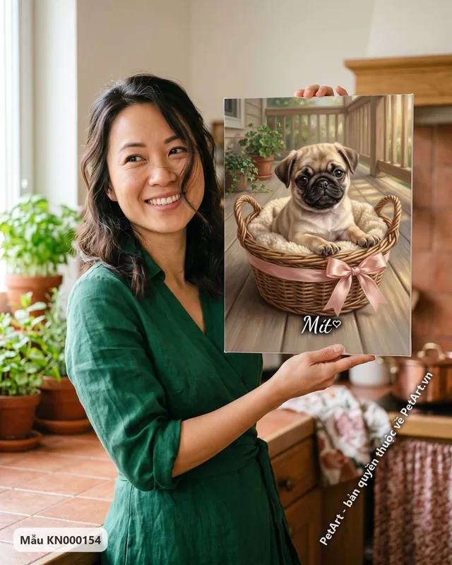 Chó Pug con ngồi giỏ mây trên hiên nhà · ảnh thực tế