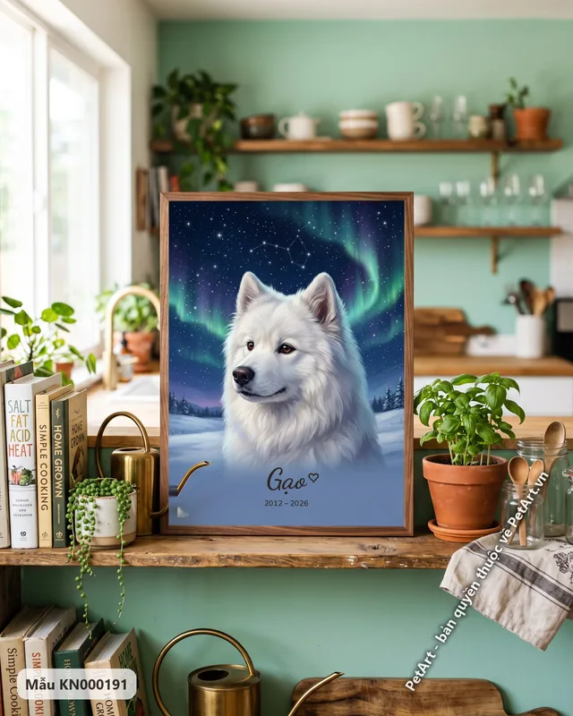 Chó Samoyed trắng, tranh bầu trời sao cực quang · ảnh thực tế