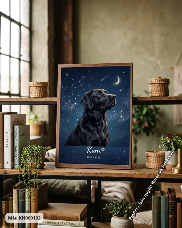 Chó Labrador đen ngước nhìn, tranh bầu trời sao · góc khác