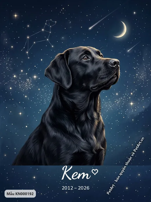 Chó Labrador đen ngước nhìn, tranh bầu trời sao · ảnh tranh