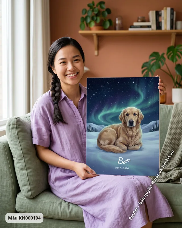 Chó Golden nằm, bầu trời sao, cực quang · ảnh thực tế
