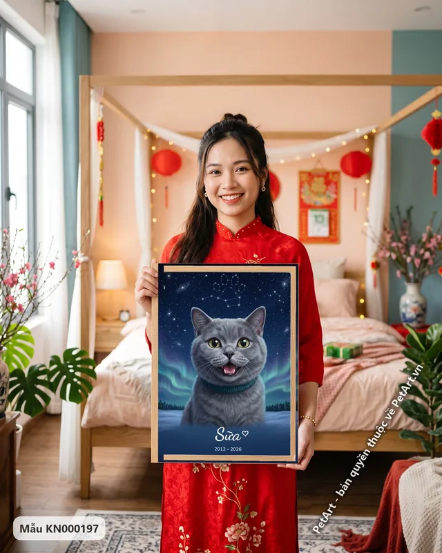 Mèo Anh lông ngắn, cười, bầu trời sao, cực quang · góc khác