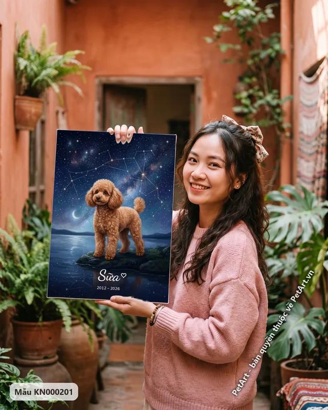 Poodle đứng bên hồ dưới trời sao kỷ niệm · góc khác