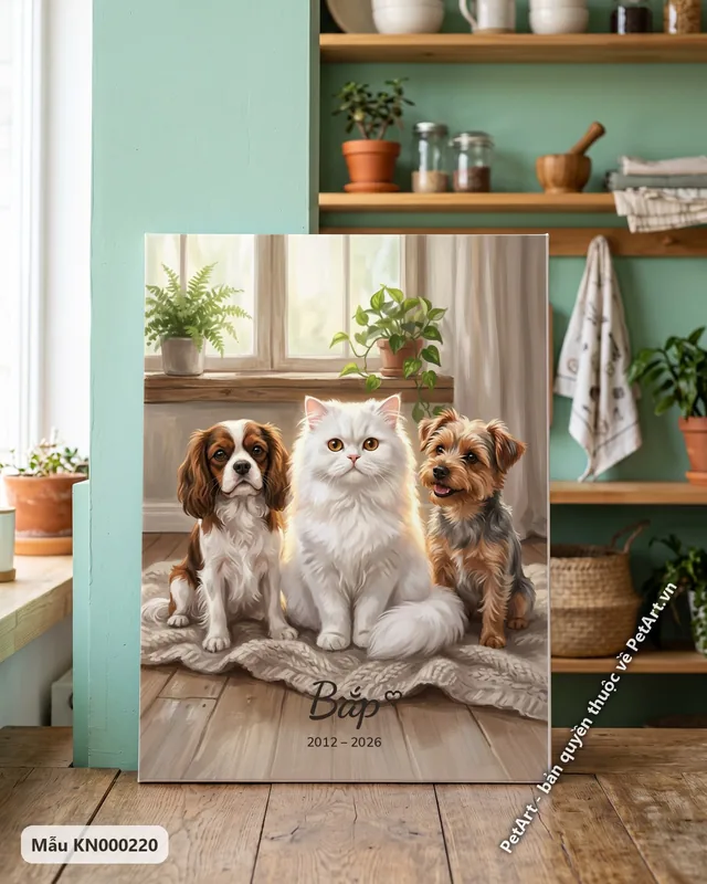 Mèo Ba Tư, Cavalier, Yorkshire Terrier đoàn tụ trong nhà · góc khác