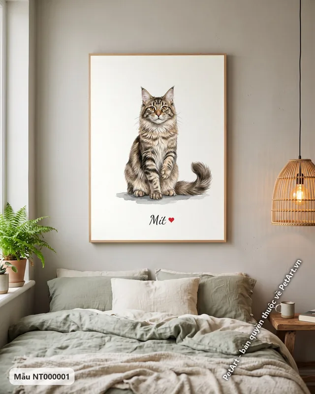 Mèo Maine Coon ngồi nền trắng đáng yêu · ảnh thực tế