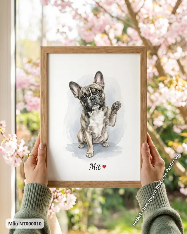 Tranh bé ngồi nền trắng · Bull Pháp