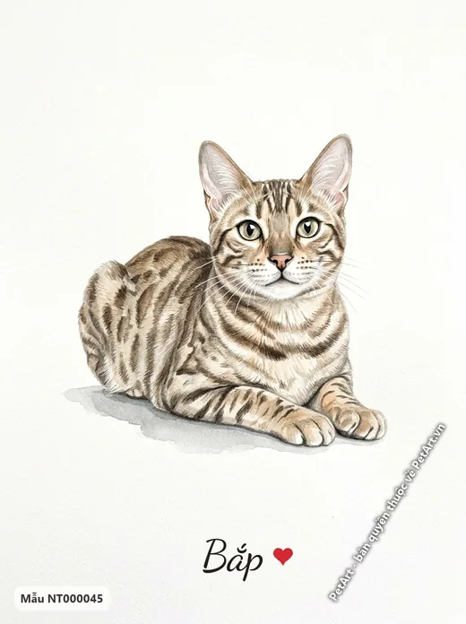 Tranh mèo Bengal nằm nền trắng · ảnh tranh