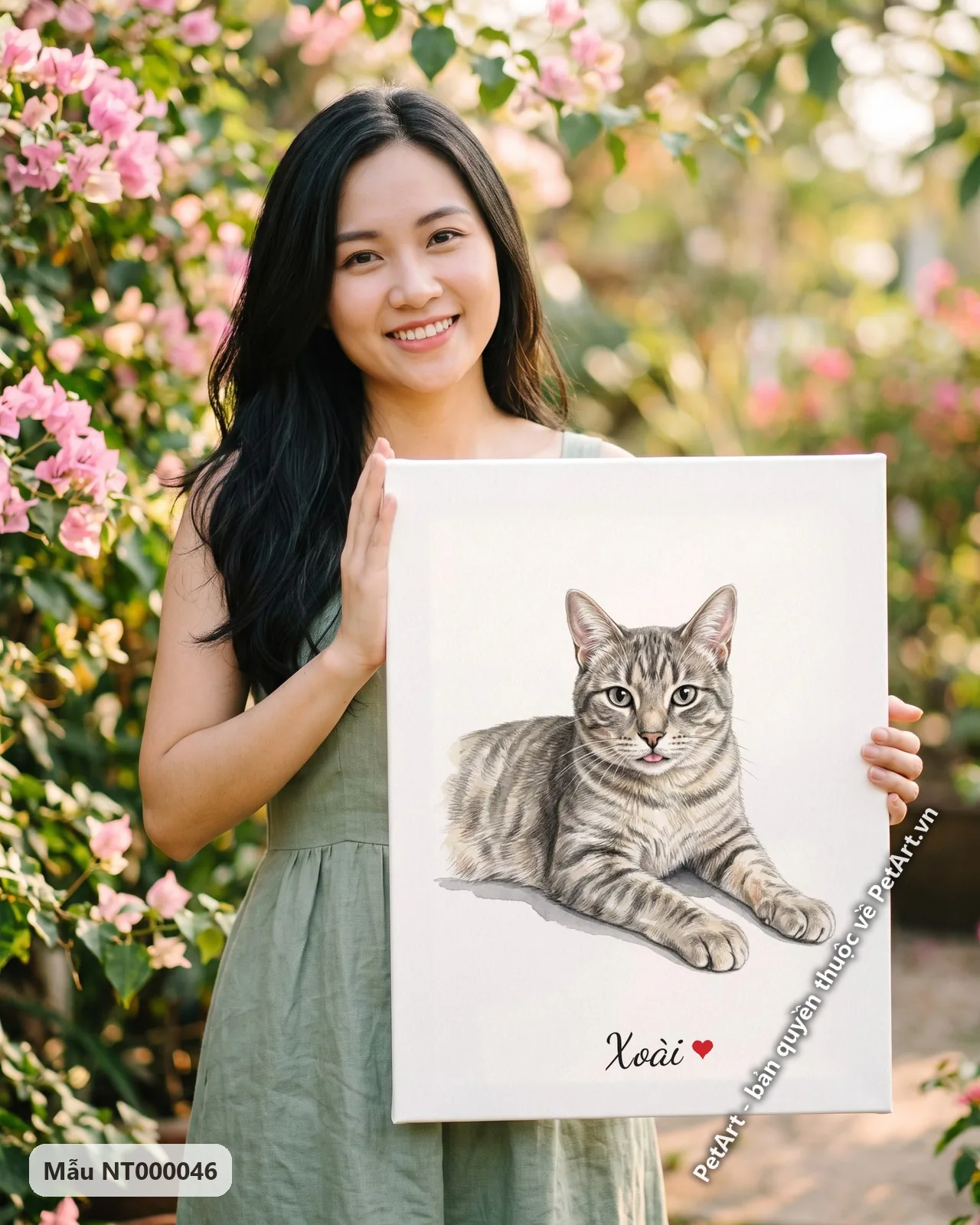 Ảnh thực tế: Một chú mèo mướp xám đang nằm thư giãn trên nền trắng, với đôi mắt sáng và lưỡi nhỏ thè ra.