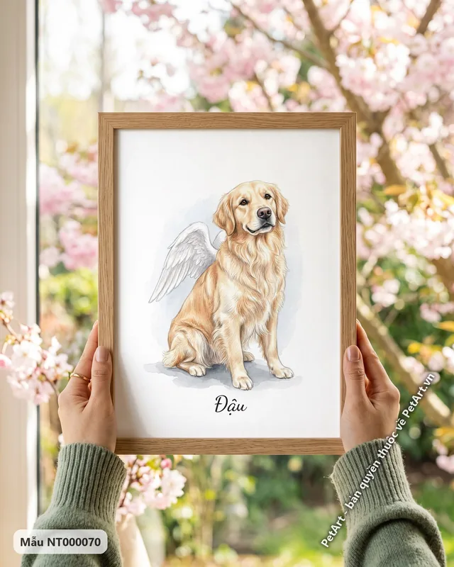 Tranh bé thiên thần cánh trắng · Golden