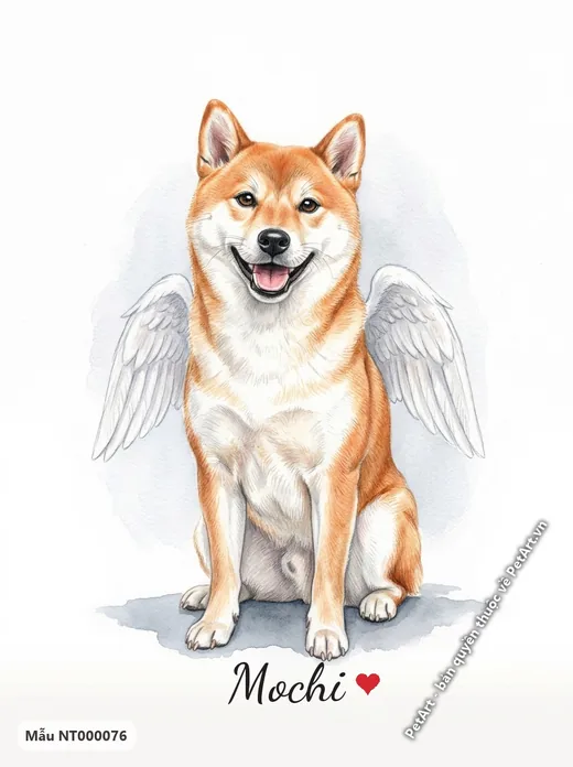 Chó Shiba thiên thần cánh trắng ngồi · ảnh tranh