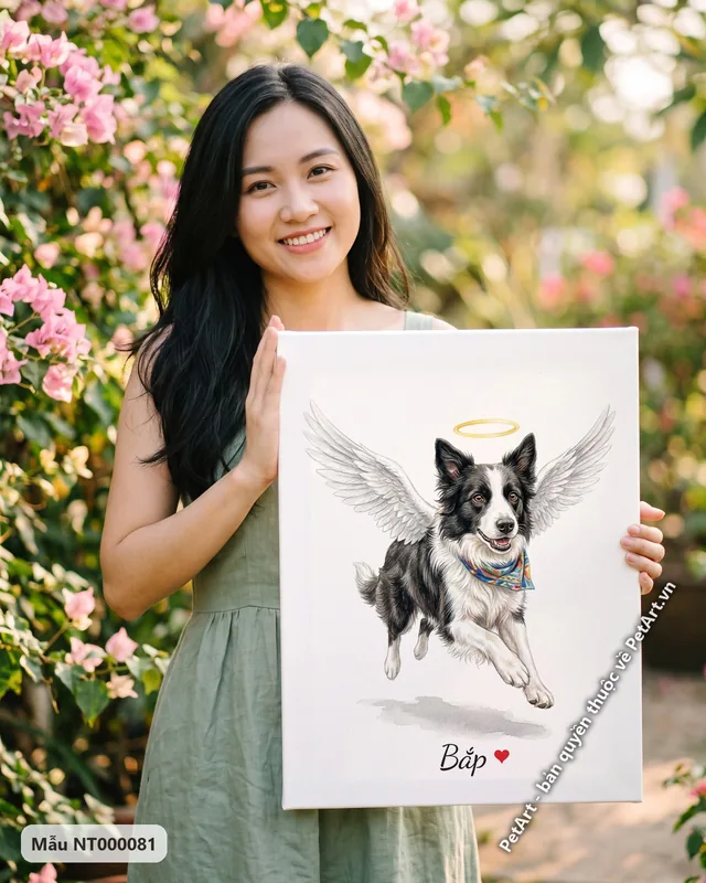 Chó Border Collie thiên thần bay, khăn màu, hào quang · góc khác