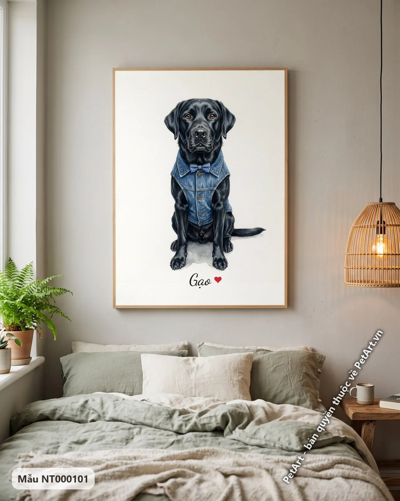 Ảnh thực tế: Một chú chó Labrador đen ngồi thẳng, mặc áo khoác jean và đeo nơ chấm bi xanh trên nền trắng.