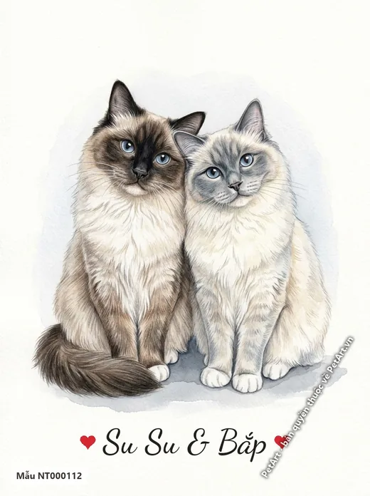Tranh hai mèo Ragdoll thân thiết phong cách màu nước · ảnh tranh