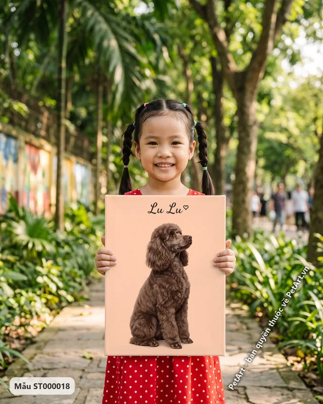 Chó Poodle nâu ngồi, tranh nền đơn sắc · ảnh thực tế