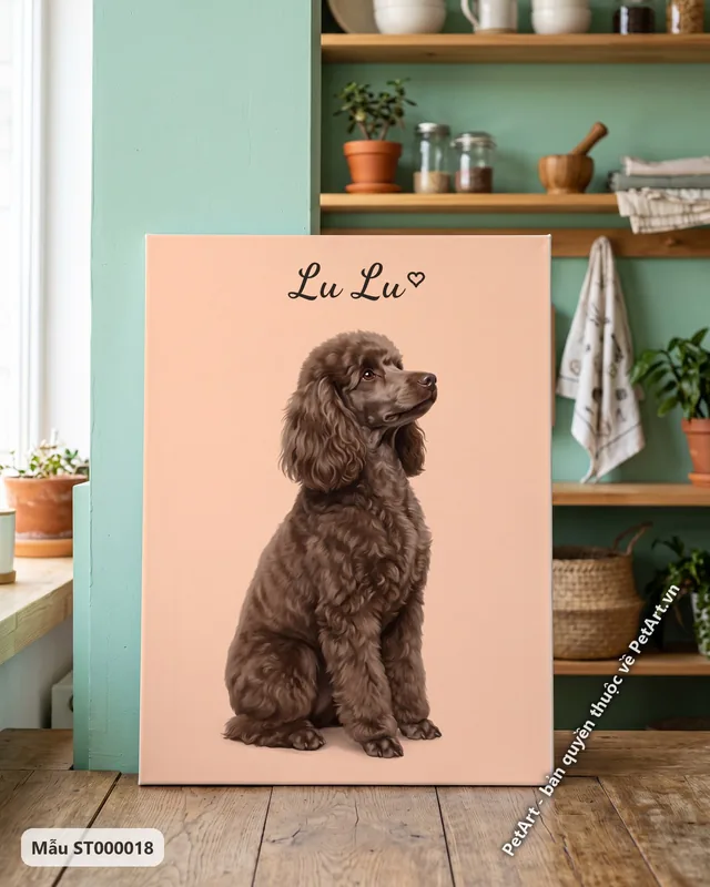 Chó Poodle nâu ngồi, tranh nền đơn sắc · góc khác