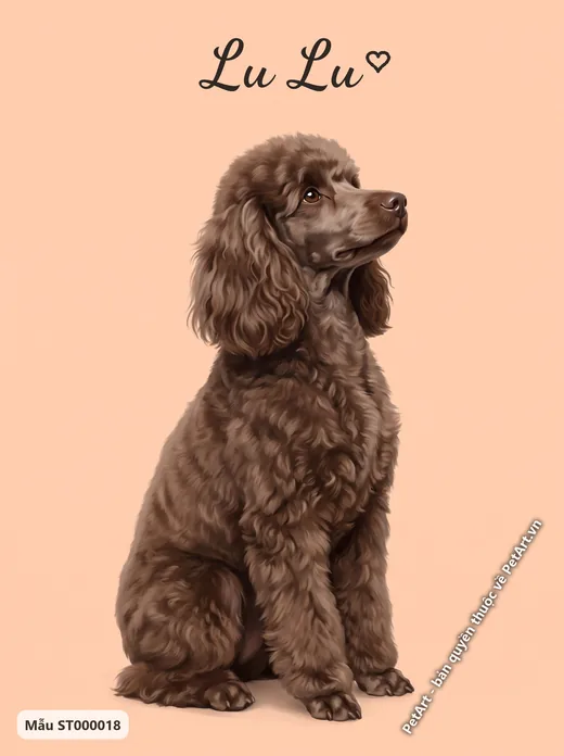 Chó Poodle nâu ngồi, tranh nền đơn sắc · ảnh tranh