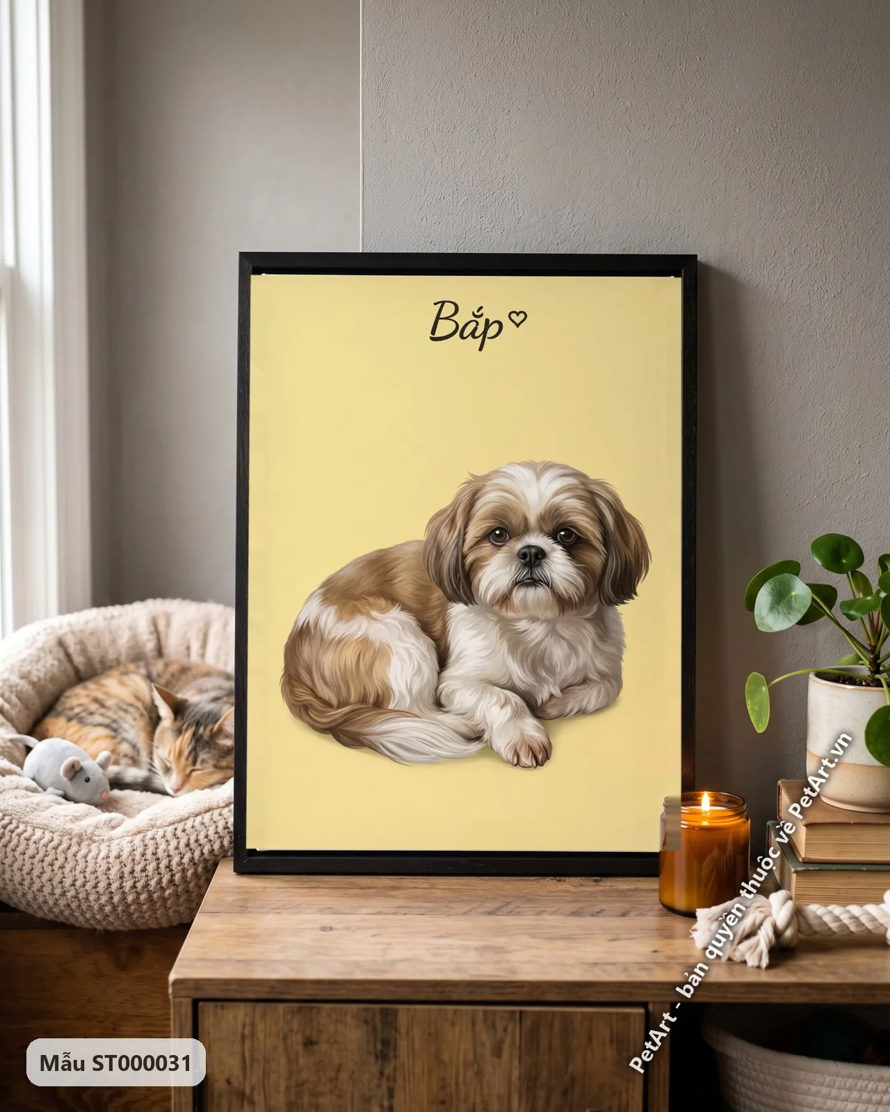 Ảnh thực tế: Chú chó Shih Tzu lông nâu trắng đang nằm thư giãn, nhìn thẳng, trên nền màu vàng nhạt đơn sắc.