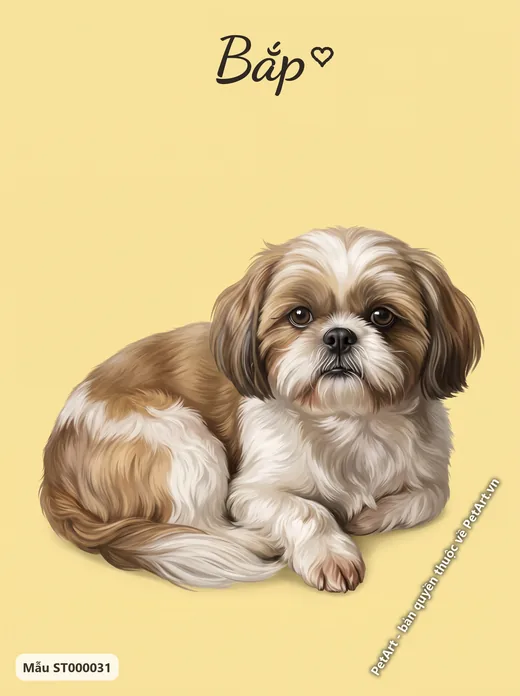 Shih Tzu nằm nền vàng đơn sắc · ảnh tranh