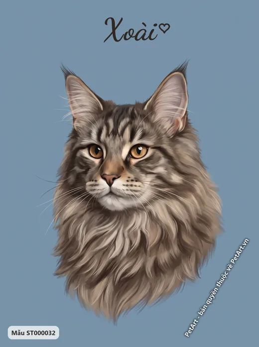 Mèo Maine Coon chân dung nền xanh · ảnh tranh