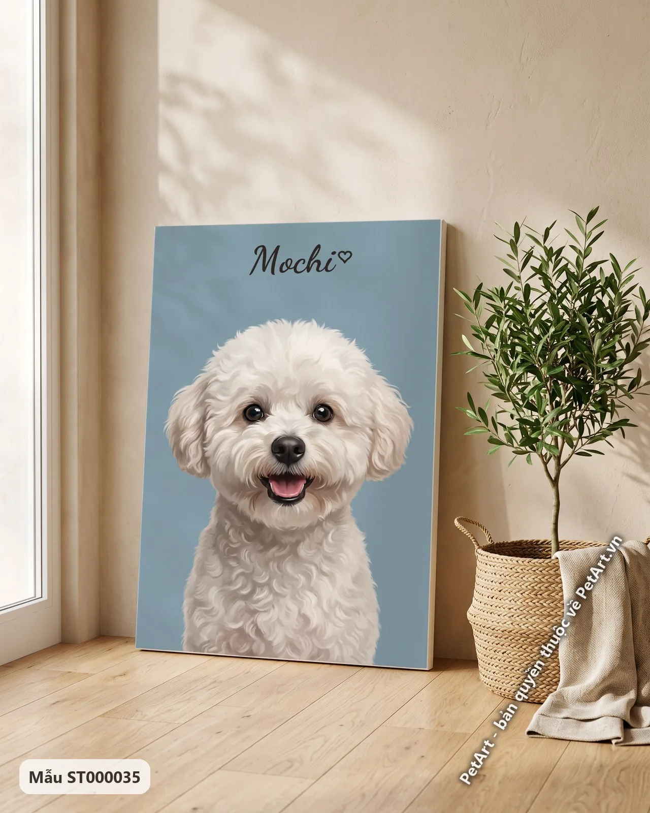 Ảnh thực tế: Chó Bichon trắng muốt với khuôn mặt tươi cười, nhìn thẳng, trên nền đơn sắc màu xanh dương nhạt.