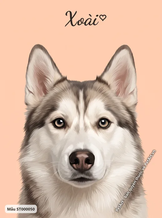 Chân dung chó Husky cận mặt, nền cam đơn sắc · ảnh tranh