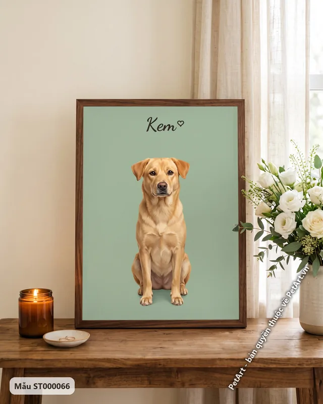 Chó ta vàng ngồi, nền đơn sắc xanh · góc khác