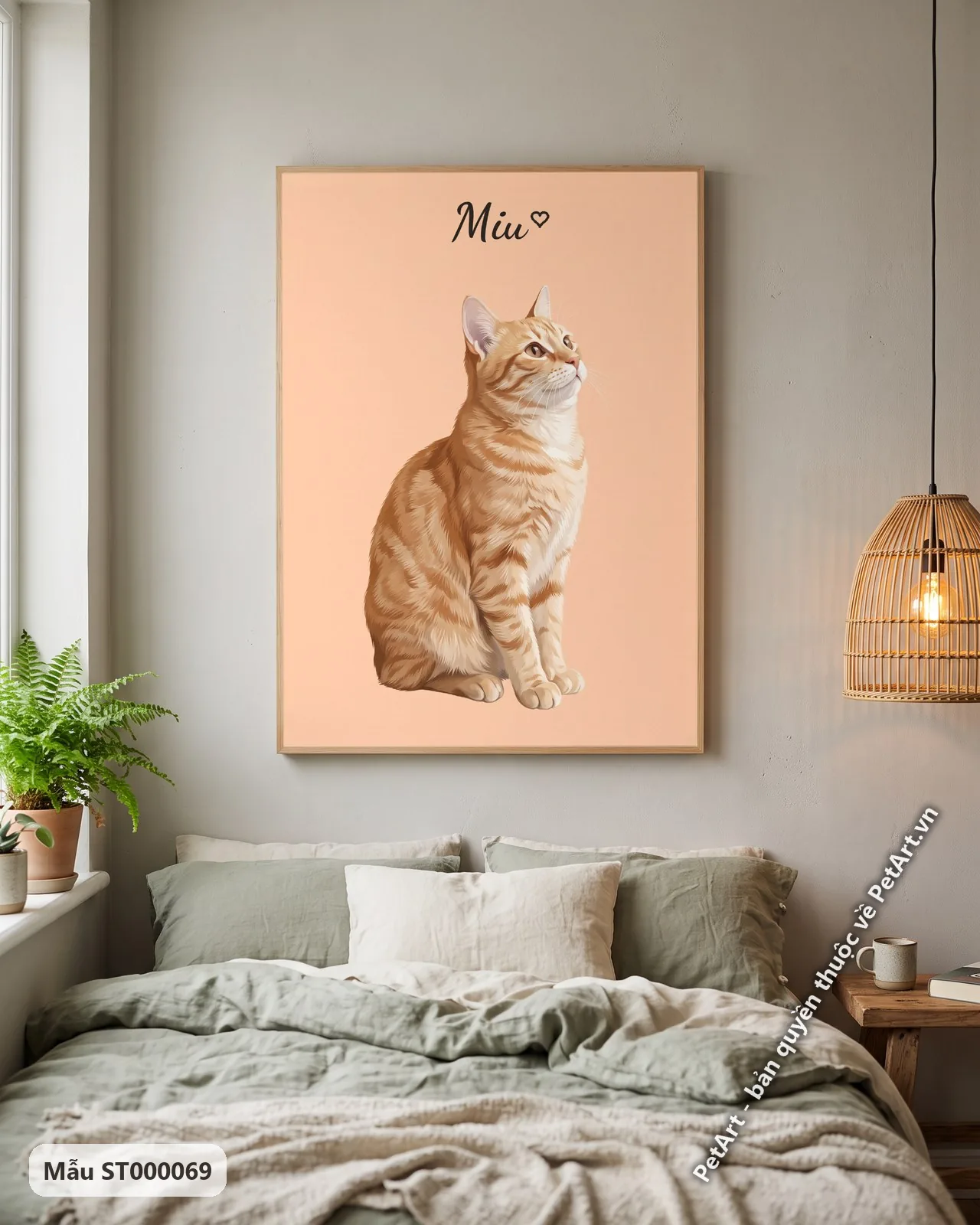 Ảnh thực tế: Mèo mướp cam ngồi nghiêng, ngước nhìn lên, trên nền màu cam đào đơn sắc nhẹ nhàng.