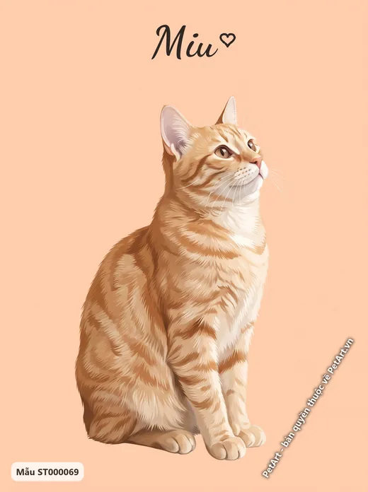 Mèo mướp cam ngồi nhìn lên · ảnh tranh